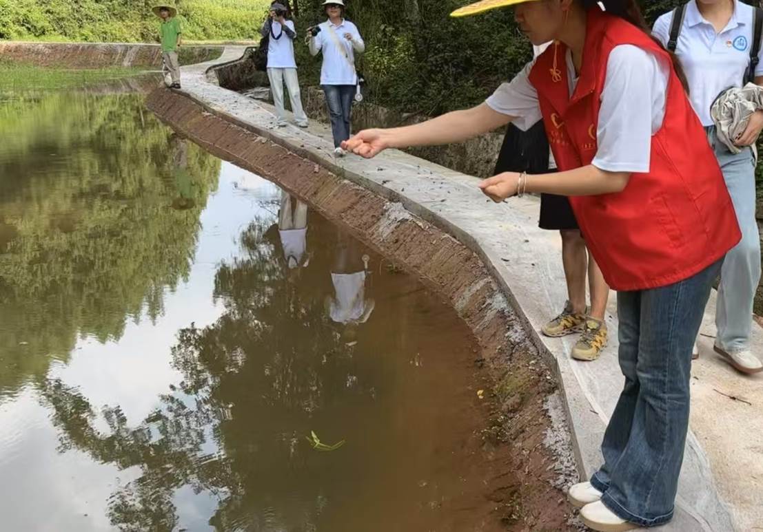 6e12b6e81d8bc5a7b06a805e9a788f5b